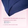 imageClean Skin Club Pillowcases 2 Pack Pink Standard SizeBlue