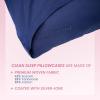 imageClean Sleep Silver Ion Pillowcase Hypoallergenic Pillowcase for BlemishProne ampamp Sensitive Skin Silver Ion Infused PlantBased Fabric Standard Size 1 Pillow Cover Blue